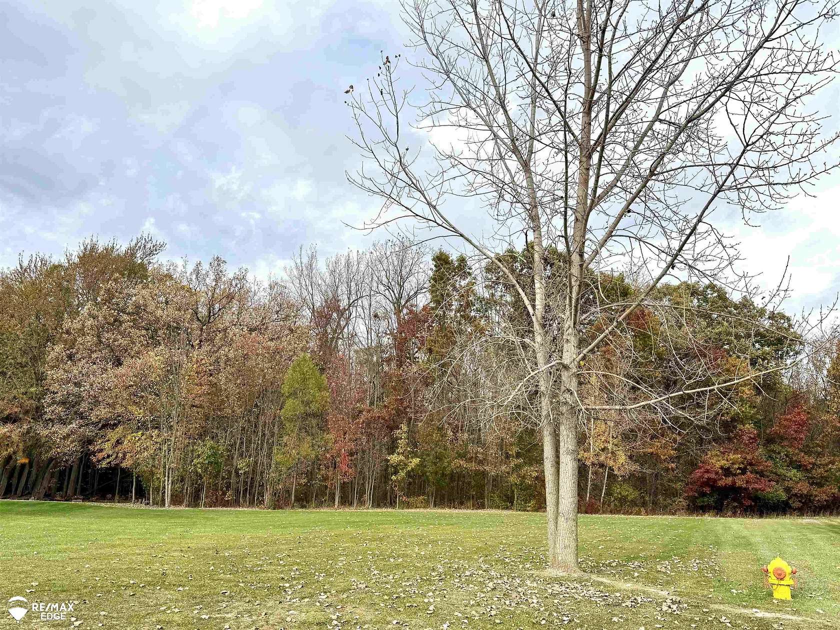 0.52 Acres of Residential Land for Sale in Grand Blanc, Michigan