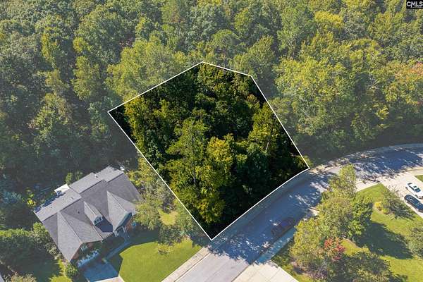 0.52 Acres of Residential Land for Sale in Chapin, South Carolina