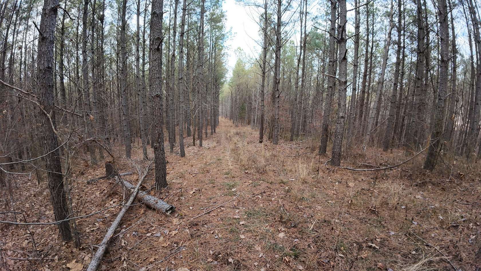9 Acres of Residential Land for Sale in Linden, Tennessee