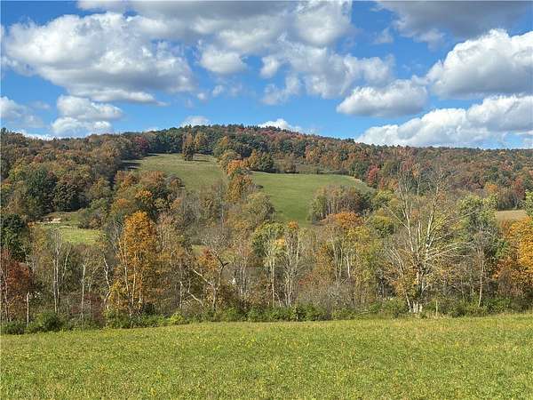 50.5 Acres of Recreational & Residential Land for Sale in Sidney, New York