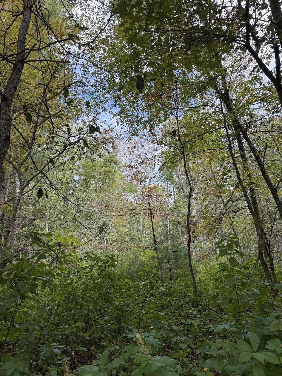 1.6 Acres of Residential Land for Sale in Lakeville, Massachusetts
