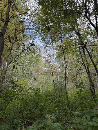 1.6 Acres of Residential Land for Sale in Lakeville, Massachusetts