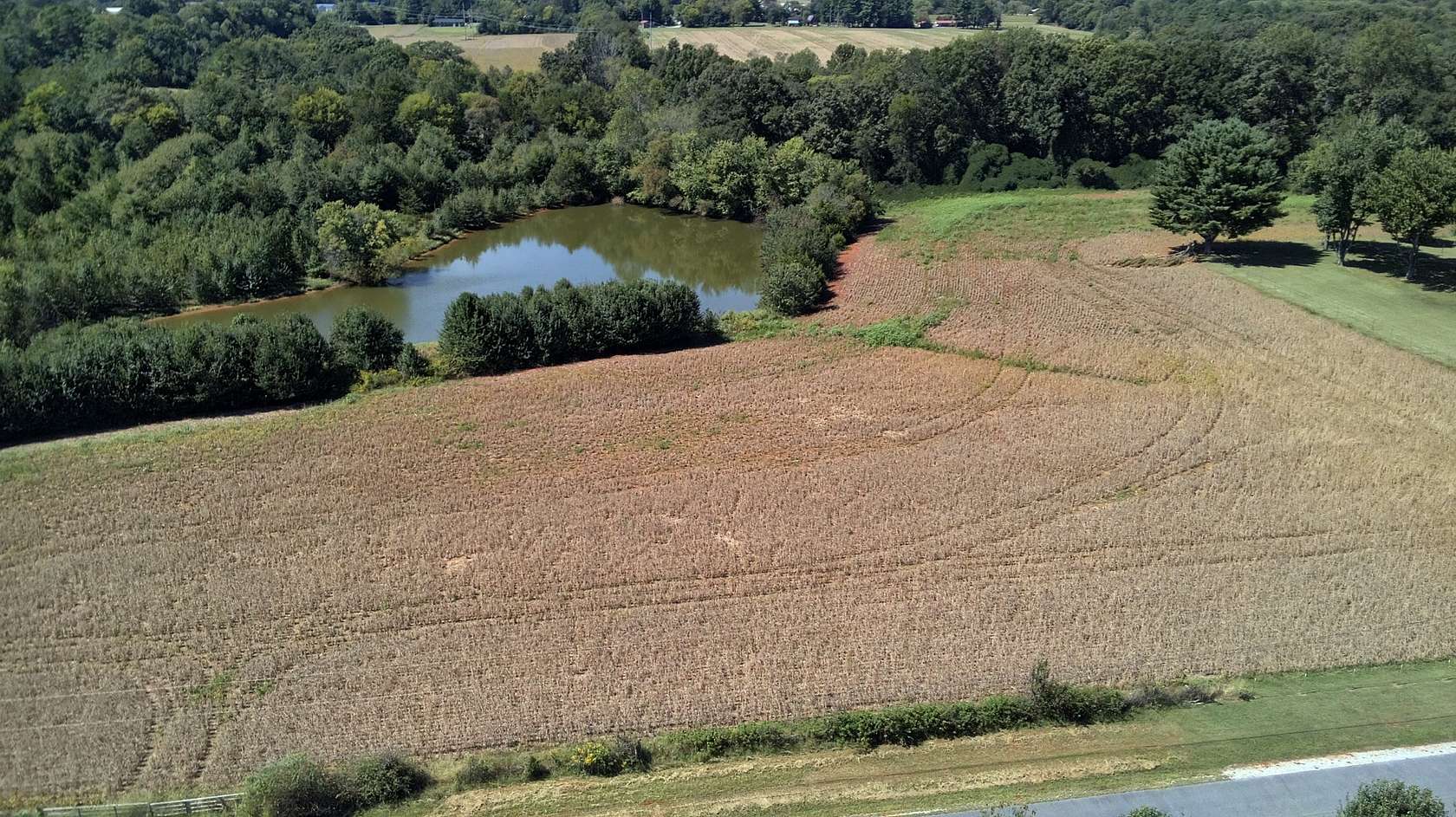 33 Acres of Land for Auction in Winchester, Tennessee