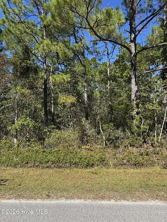 0.26 Acres of Residential Land for Sale in Boiling Spring Lakes, North Carolina