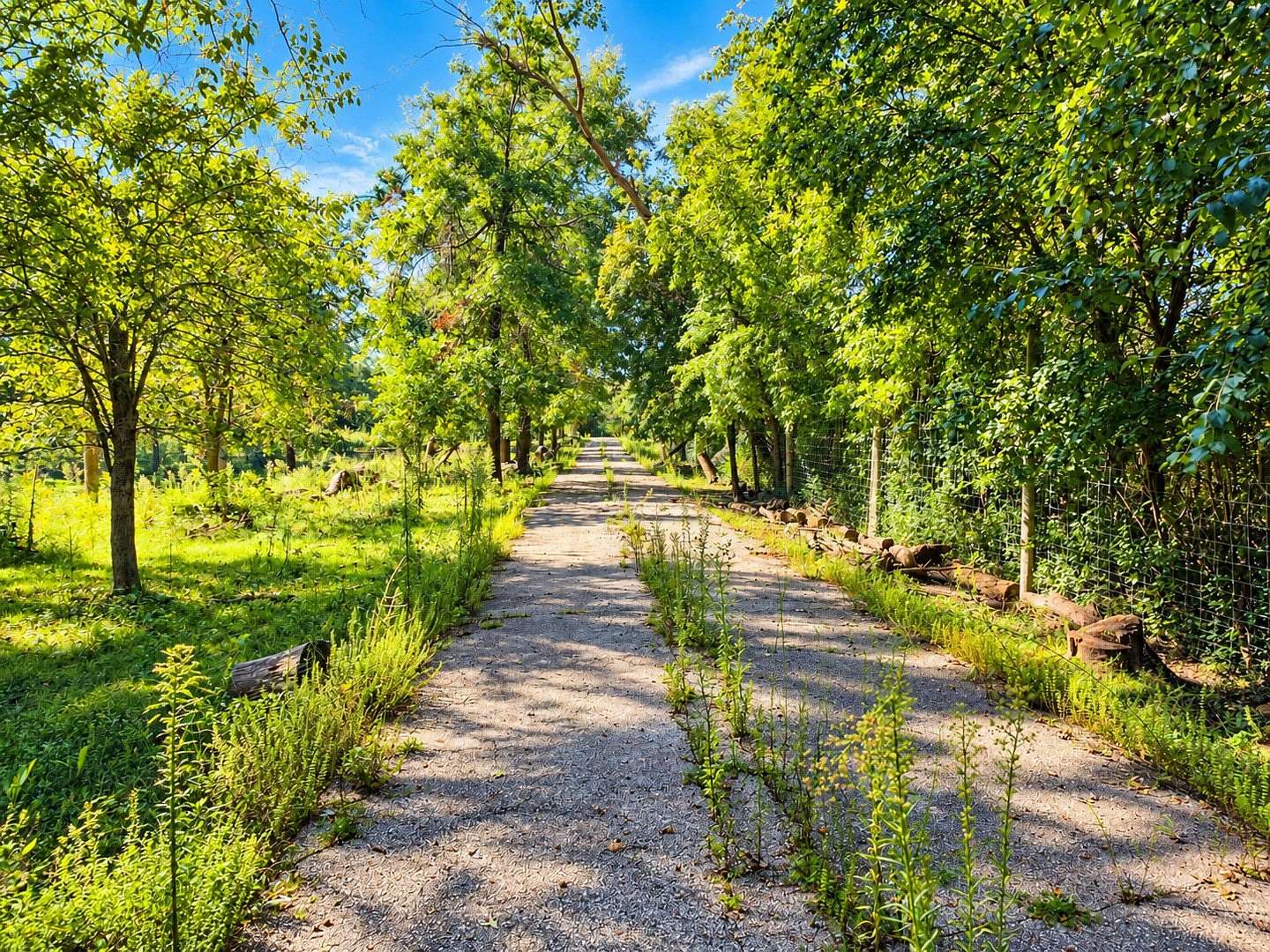 24 Acres of Agricultural & Residential Land for Sale in Wadsworth, Illinois