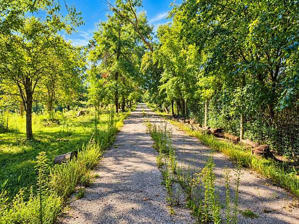 24 Acres of Agricultural & Residential Land for Sale in Wadsworth, Illinois
