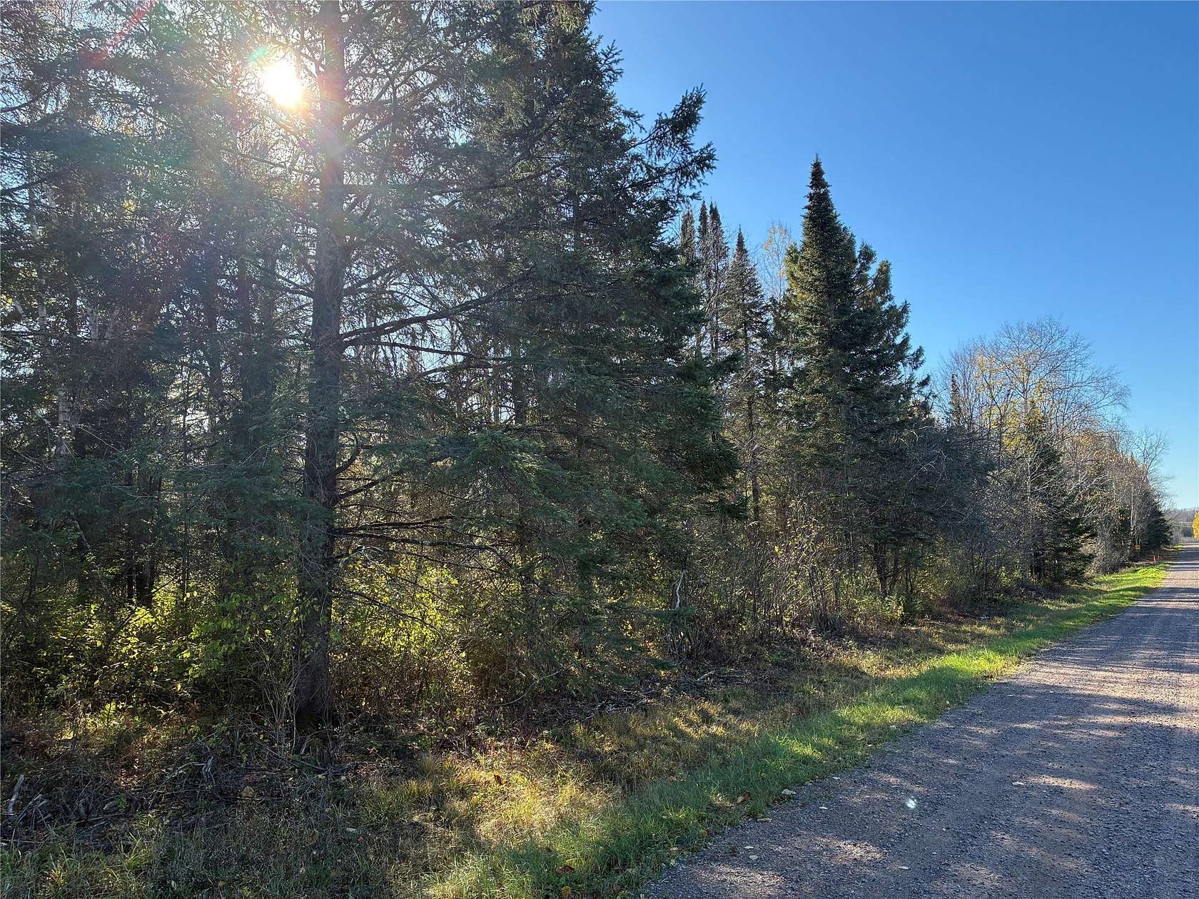 10.1 Acres of Land for Sale in Winter, Wisconsin