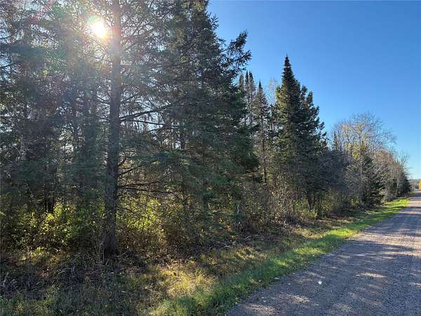 10.1 Acres of Land for Sale in Winter, Wisconsin