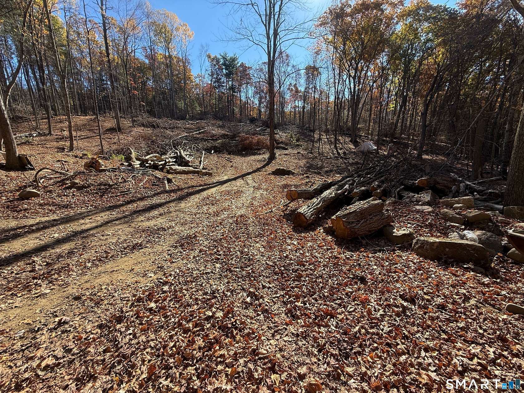 13.2 Acres of Recreational & Residential Land for Sale in Ashford, Connecticut