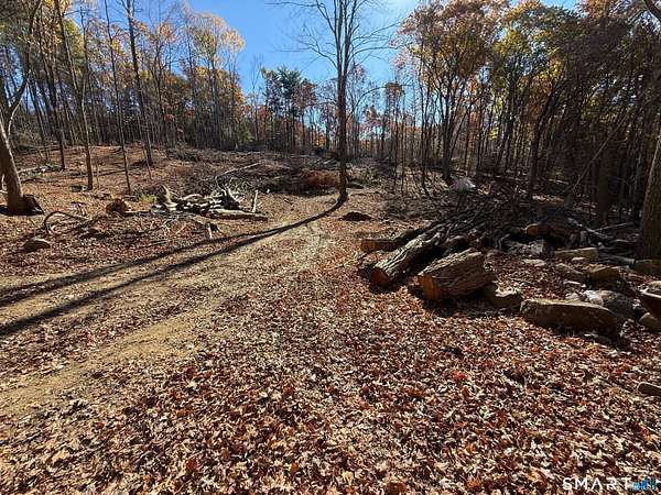 13.2 Acres of Recreational & Residential Land for Sale in Ashford, Connecticut