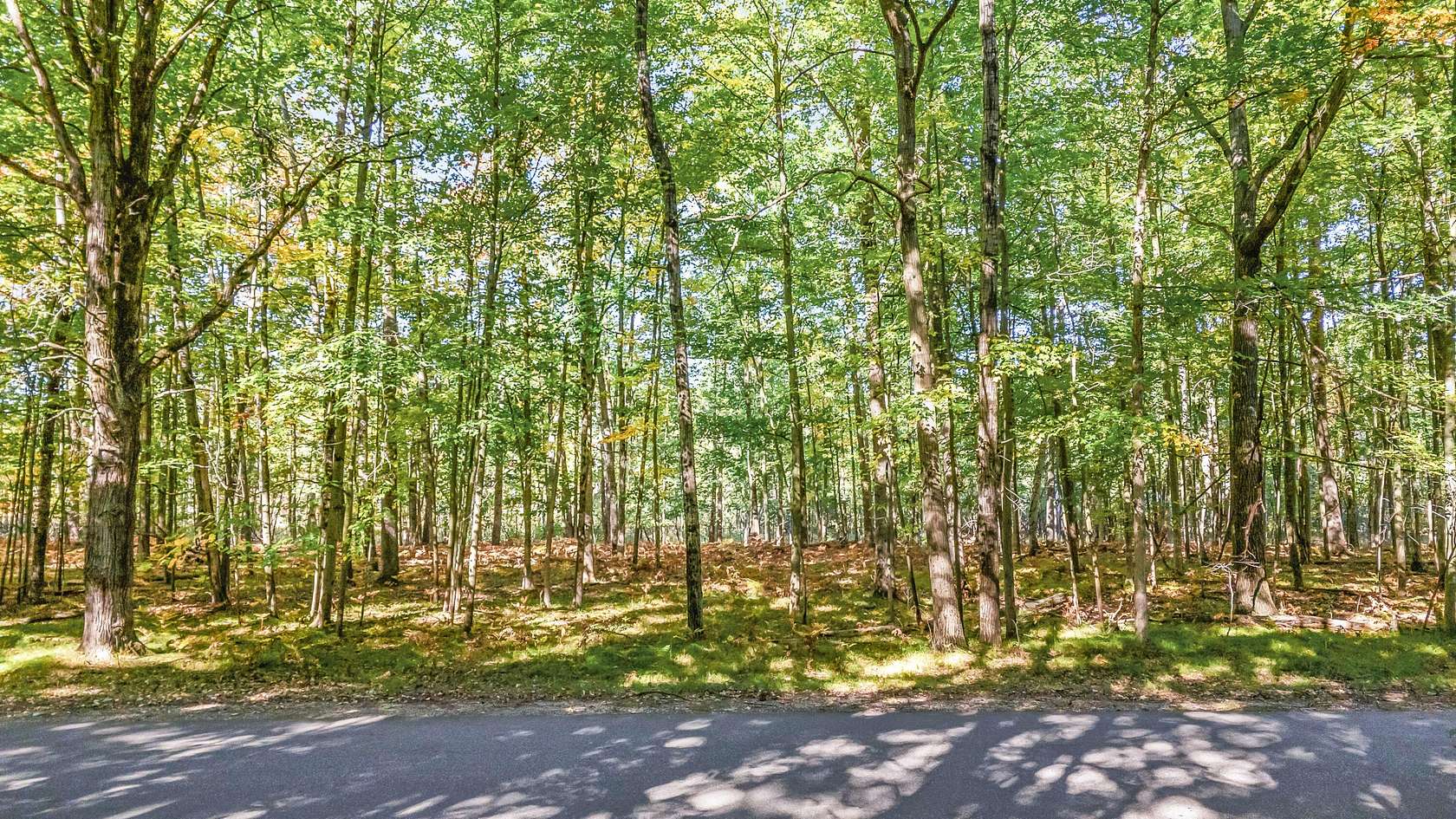 0.5 Acres of Land for Sale in Stanwood, Michigan