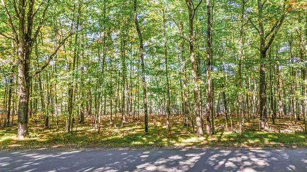 0.5 Acres of Land for Sale in Stanwood, Michigan