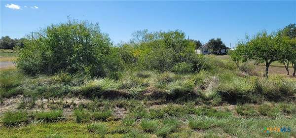 0.14 Acres of Residential Land for Sale in Holiday Beach, Texas