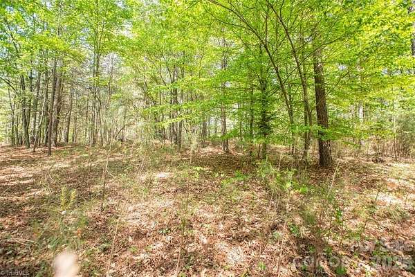 10.3 Acres of Land for Sale in Connelly Springs, North Carolina