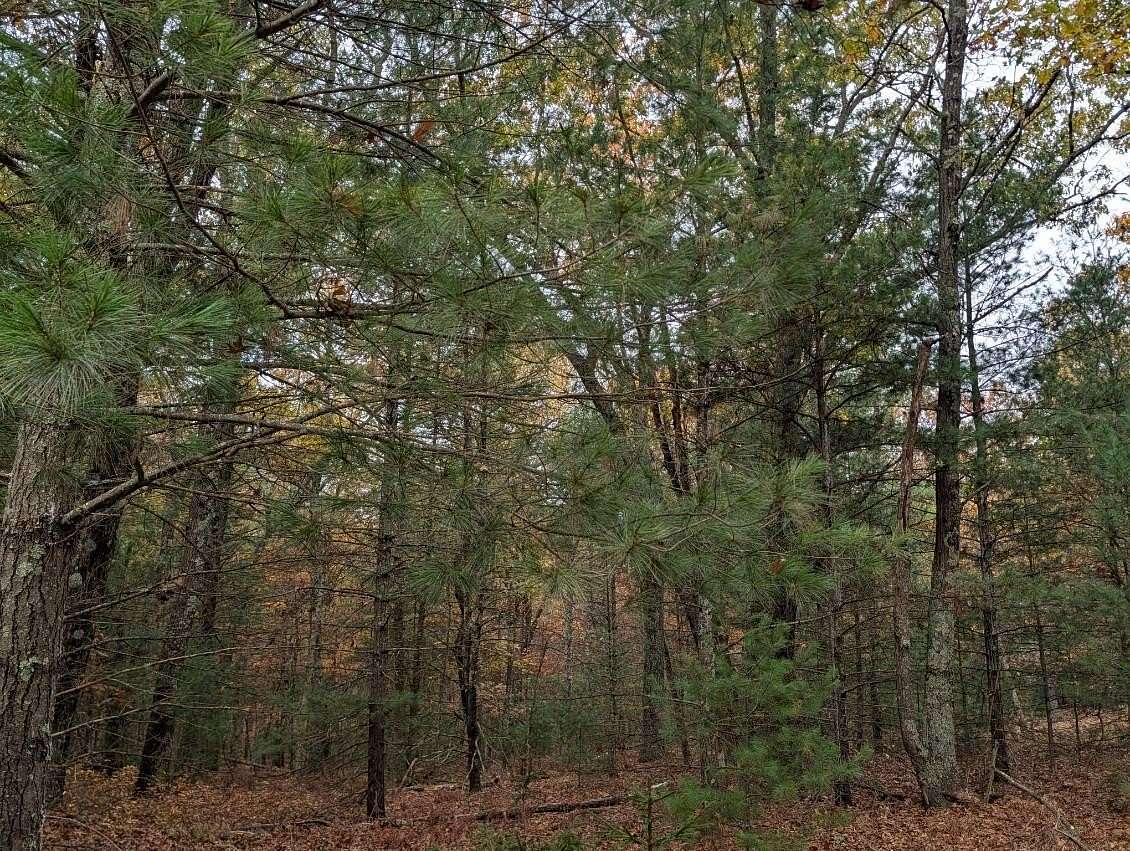 10.2 Acres of Land for Sale in Whitehall, Michigan