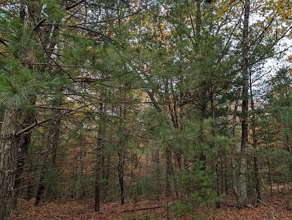 10.2 Acres of Land for Sale in Whitehall, Michigan