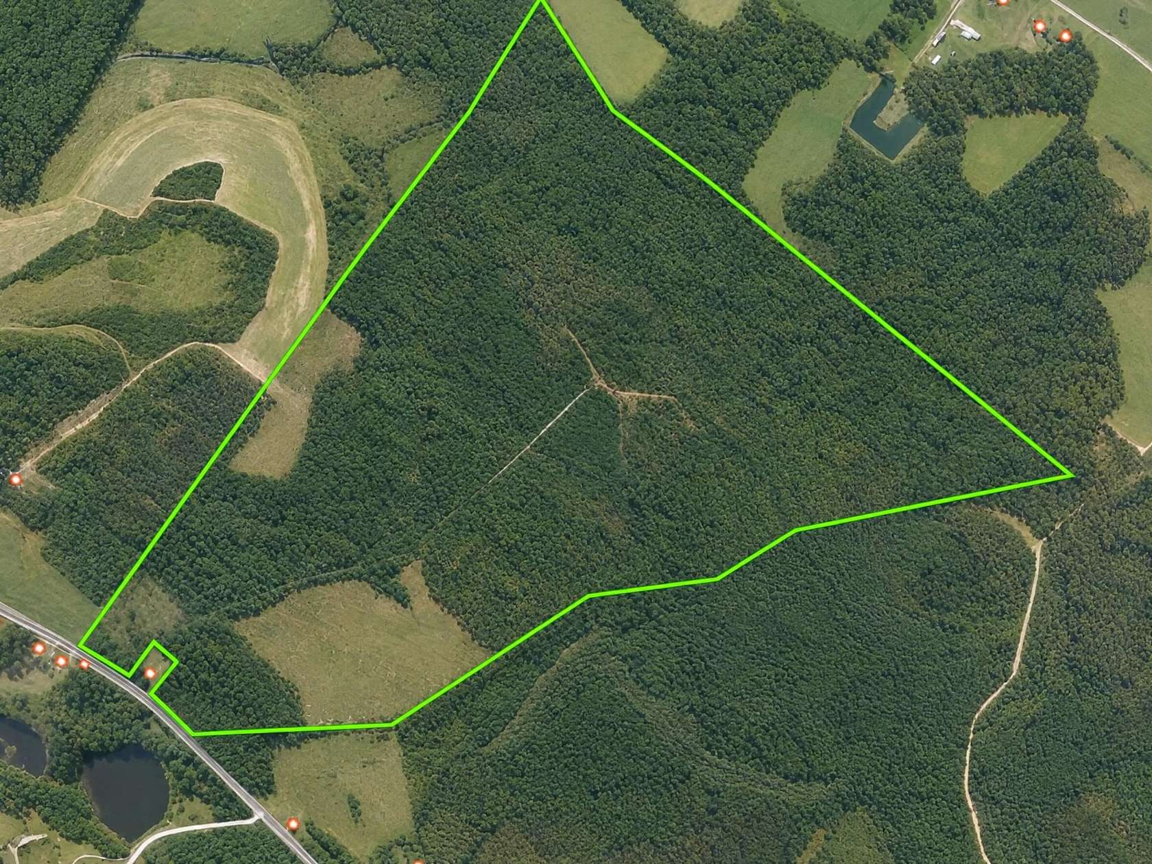 229 Acres of Recreational Land for Sale in Timmonsville, South Carolina