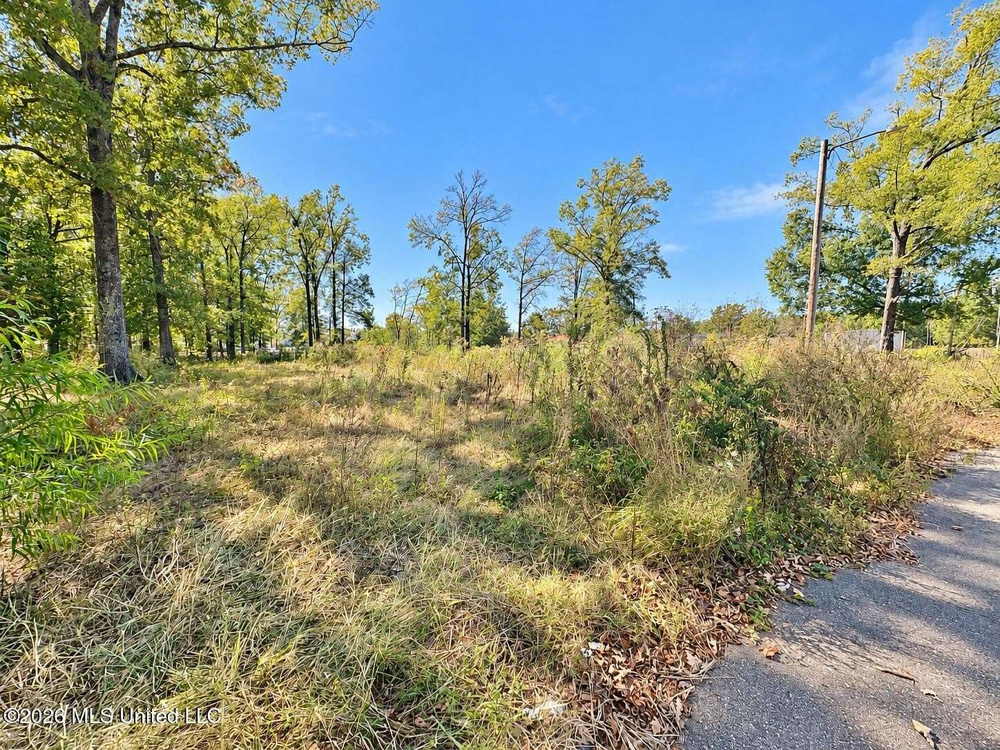 1.2 Acres of Residential Land for Sale in Grenada, Mississippi
