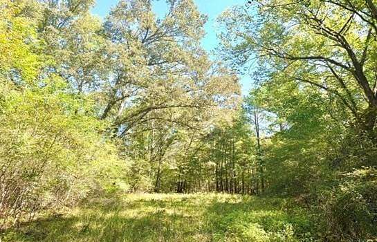 635 Acres of Recreational Land for Sale in Montgomery, Alabama