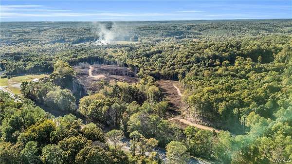 35 Acres of Recreational Land for Sale in Hamilton, Alabama