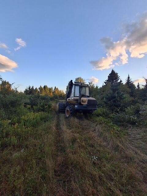 80 Acres of Recreational Land for Sale in Hersey, Maine