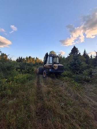 80 Acres of Recreational Land for Sale in Hersey, Maine