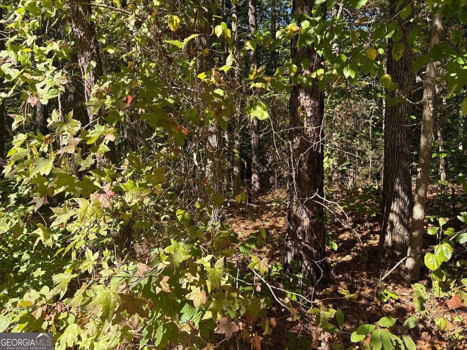 1.3 Acres of Land for Sale in Douglasville, Georgia