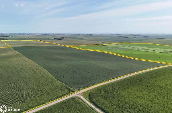 80 Acres of Agricultural Land for Auction in Wisner, Nebraska