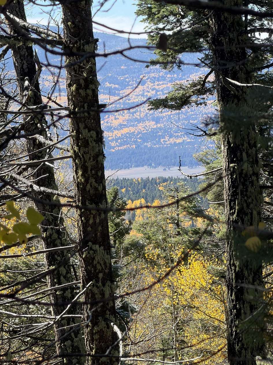 Angel Way 0.86 Acres of Residential Land for Sale in Angel Fire, New Mexico ...