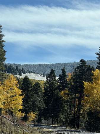 Angel Way 0.86 Acres of Residential Land for Sale in Angel Fire, New Mexico ...