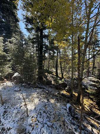 Angel Way 0.86 Acres of Residential Land for Sale in Angel Fire, New Mexico ...