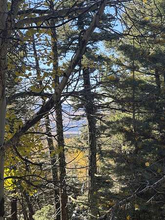 Angel Way 0.86 Acres of Residential Land for Sale in Angel Fire, New Mexico ...