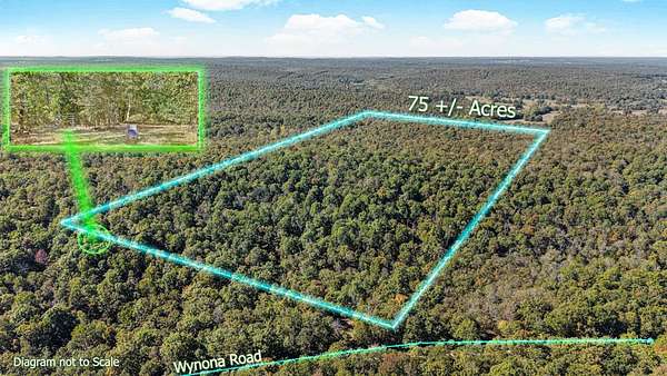 74.2 Acres of Land for Sale in Cherokee Village, Arkansas