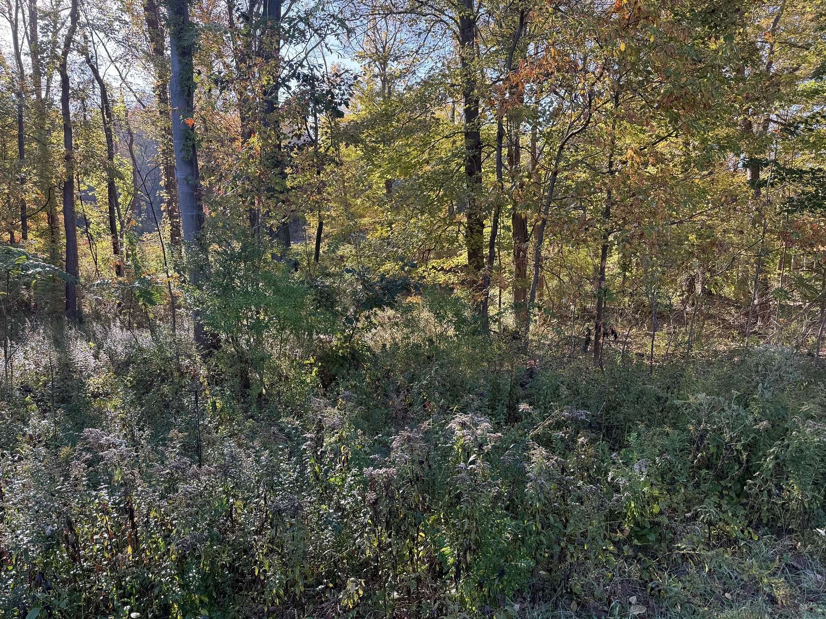 0.61 Acres of Commercial Land for Sale in Harbert, Michigan