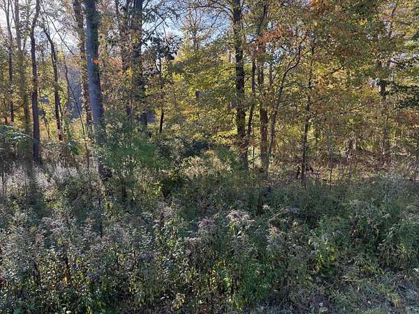 0.61 Acres of Commercial Land for Sale in Harbert, Michigan