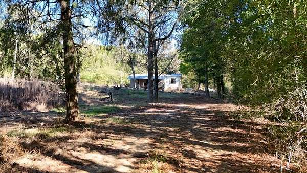6 Acres of Land with Home for Sale in Carlton, Georgia