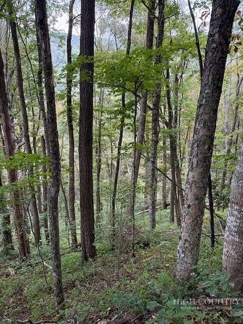 0.8 Acres of Residential Land for Sale in Creston, North Carolina