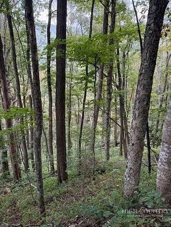 0.8 Acres of Residential Land for Sale in Creston, North Carolina