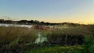 0.47 Acres of Land for Sale in Sandia, Texas