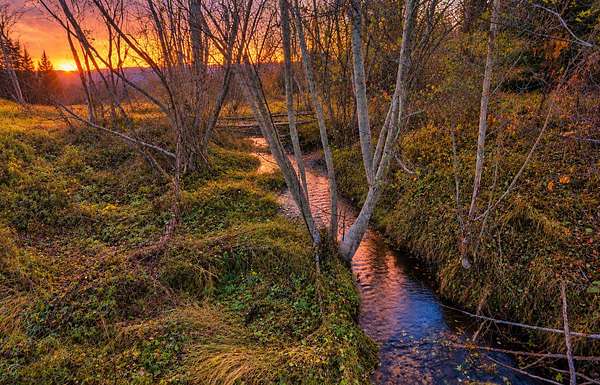 11.9 Acres of Recreational & Residential Land for Sale in Hamilton, Montana