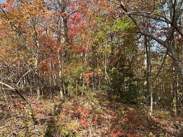 Land for Sale in Crawford, Tennessee