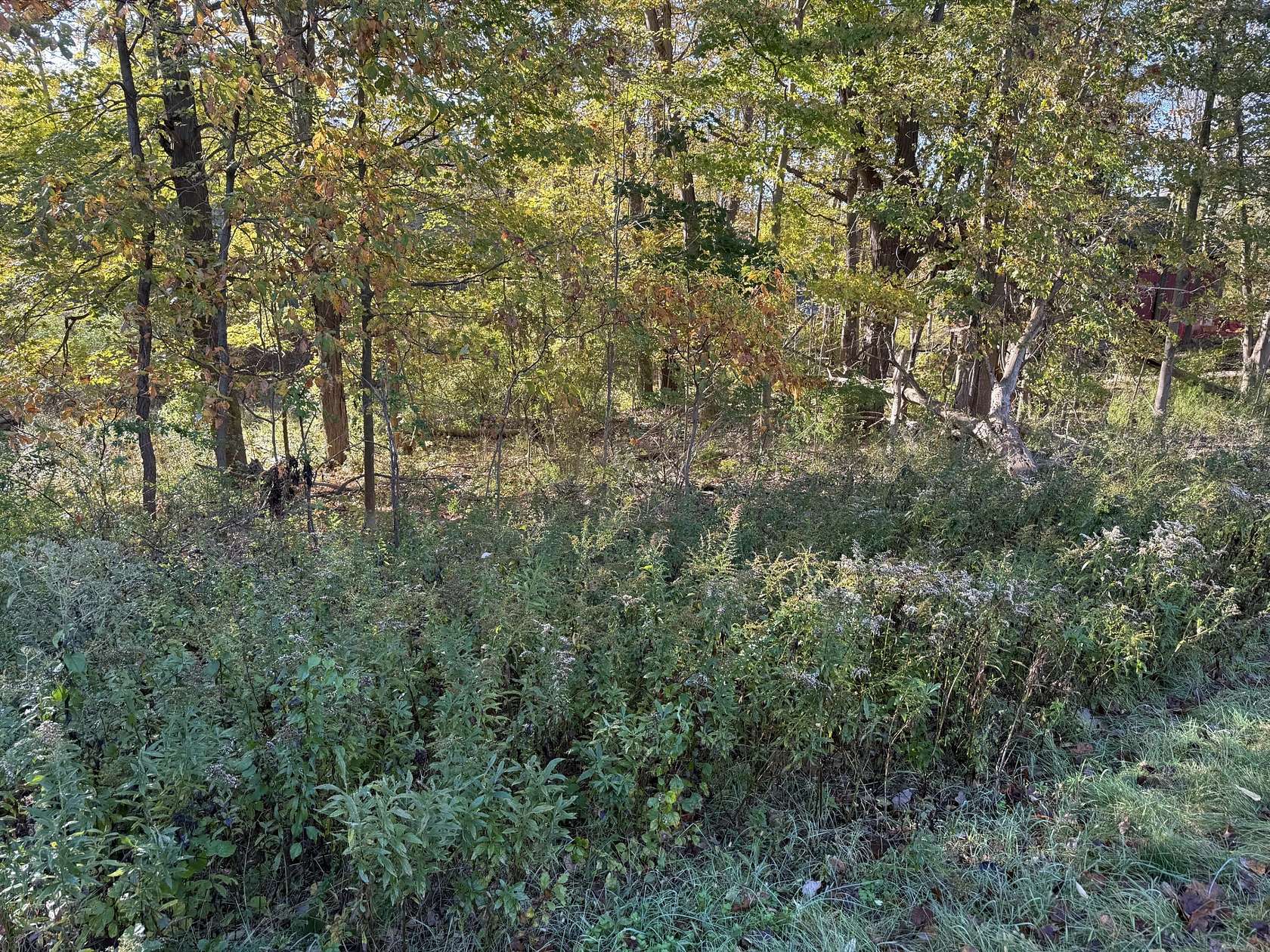 0.42 Acres of Commercial Land for Sale in Harbert, Michigan