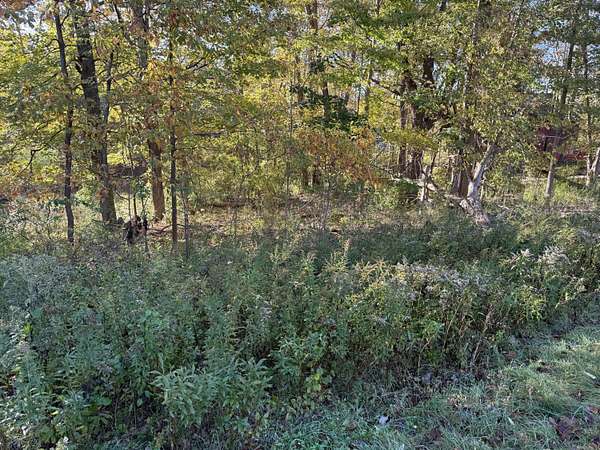 0.42 Acres of Commercial Land for Sale in Harbert, Michigan