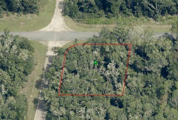 0.32 Acres of Residential Land for Sale in Citrus Springs, Florida
