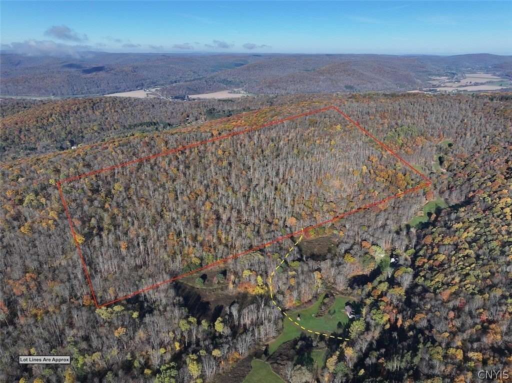 60 Acres of Recreational Land for Sale in Great Valley, New York