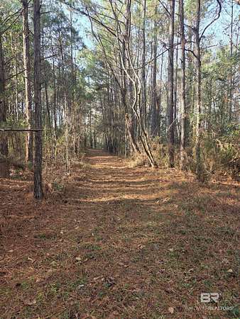 7.3 Acres of Residential Land for Sale in Castleberry, Alabama