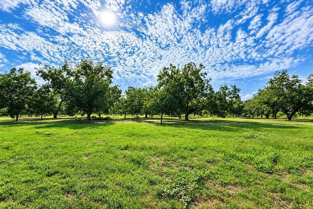 66.9 Acres of Recreational & Residential Land for Sale in Donalsonville, Georgia