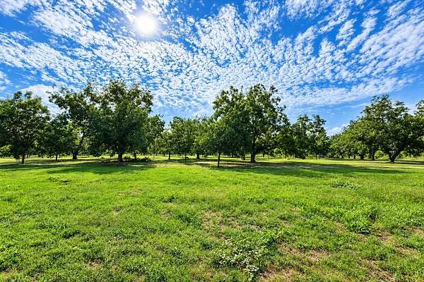 66.9 Acres of Recreational & Residential Land for Sale in Donalsonville, Georgia