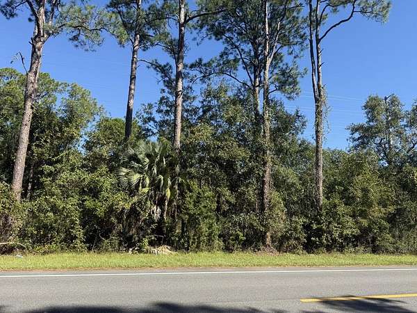 0.38 Acres of Residential Land for Sale in Apalachicola, Florida