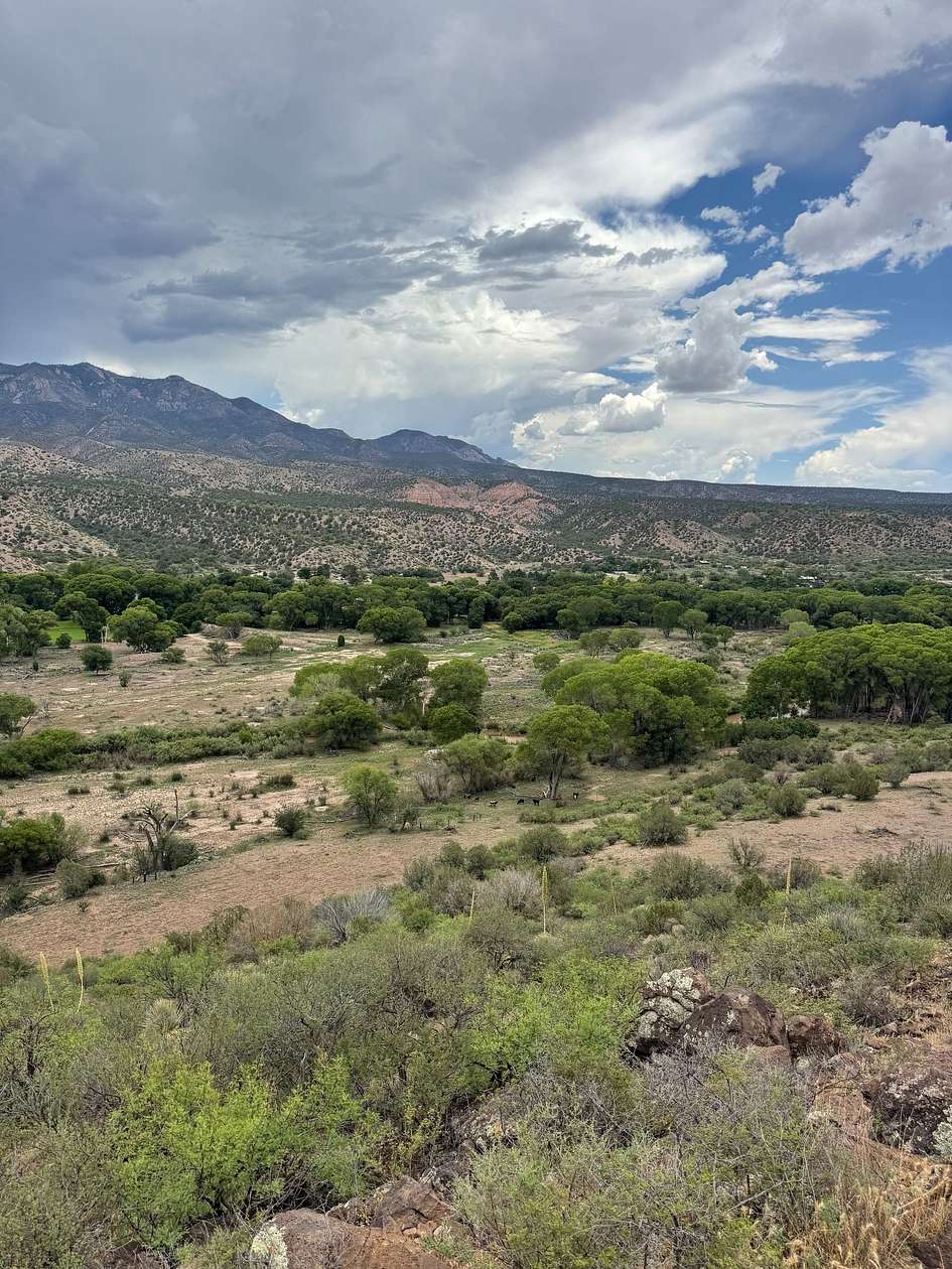 155 Acres of Land for Sale in Glenwood, New Mexico